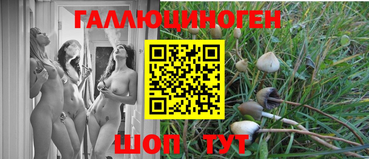 Псилоцибиновые грибы ЛСД  Галлюциногенные грибы мухоморы  Вход с VPN  Белая Калитва 